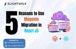 Top 5 Reasons to Use Magento Migration in React JS