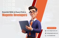 Skills to Expect from a Magento Developers