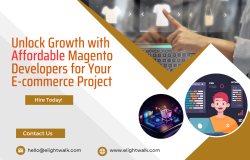 Affordable Magento Developers for Your E-commerce Project