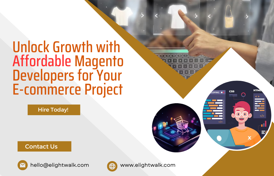 Affordable Magento Developers for Your E-commerce Project