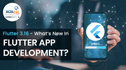 Flutter app development