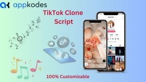 100% Customizable Readymade TikTok Clone Script