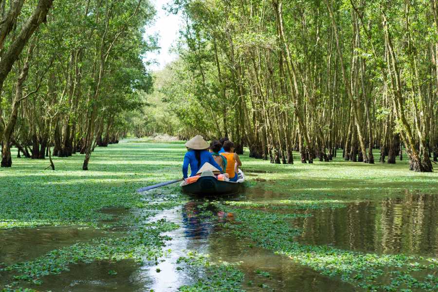 Lush Orchards and Gardens