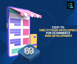 Cost to Hire Python Developers for eCommerce Web Development