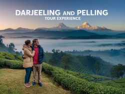 Darjeeling honeymoon and Pelling Tour package