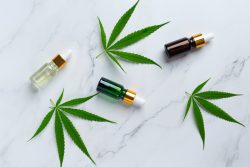 cannabis consultant