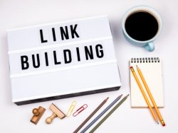 Manual Link Building Service