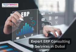 ERP Consulting Services