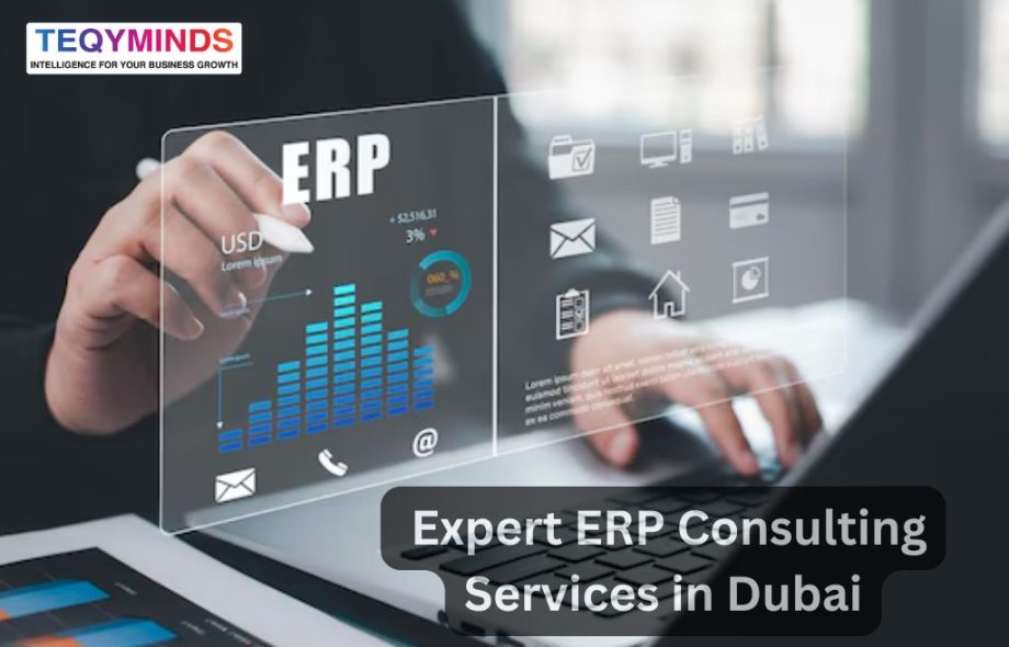 ERP Consulting Services