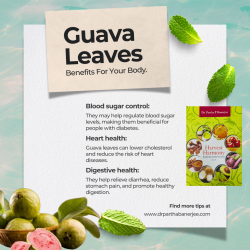 here are numerous health benefits of guava leaves which promote physical well-being. The main aim of this content is, however, to concentrate on the guava leaves and highlight, in a nut shell, the various health benefits it has.