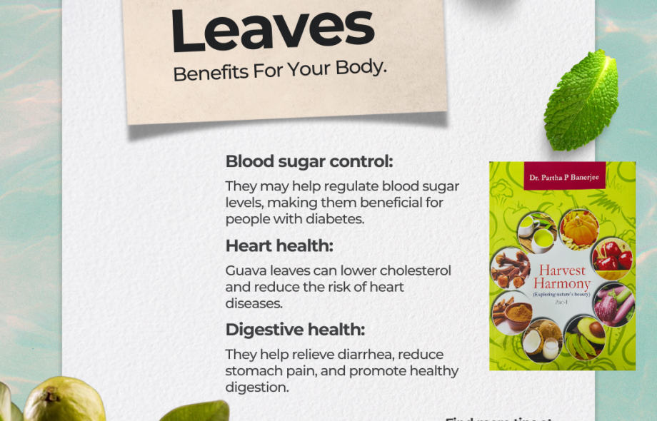 here are numerous health benefits of guava leaves which promote physical well-being. The main aim of this content is, however, to concentrate on the guava leaves and highlight, in a nut shell, the various health benefits it has.