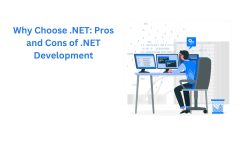 Why Choose .NET: Pros and Cons of .NET Development