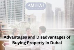 Advantages and Disadvantages of Buying Property in Dubai