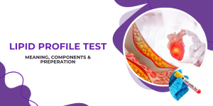 Lipid Profile Tests