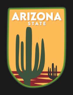 app development company arizona