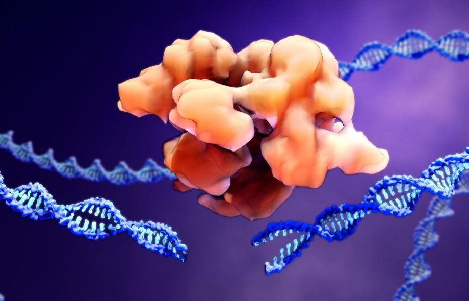 CRISPR/Cas9 is a powerful gene-editing tool