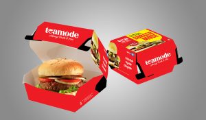 Burger Boxes Wholesale