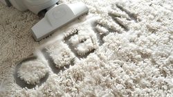 Carpet Cleaner