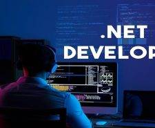 Hiring a .NET Developer