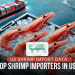 US Shrimp import data