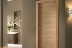 Veneer Doors