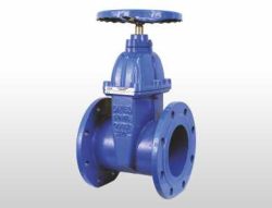 gate valve