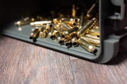 .380 ammo