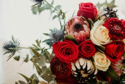 How to Keep Your Roses Fresh Longer: Pro Tips for February Bouquets