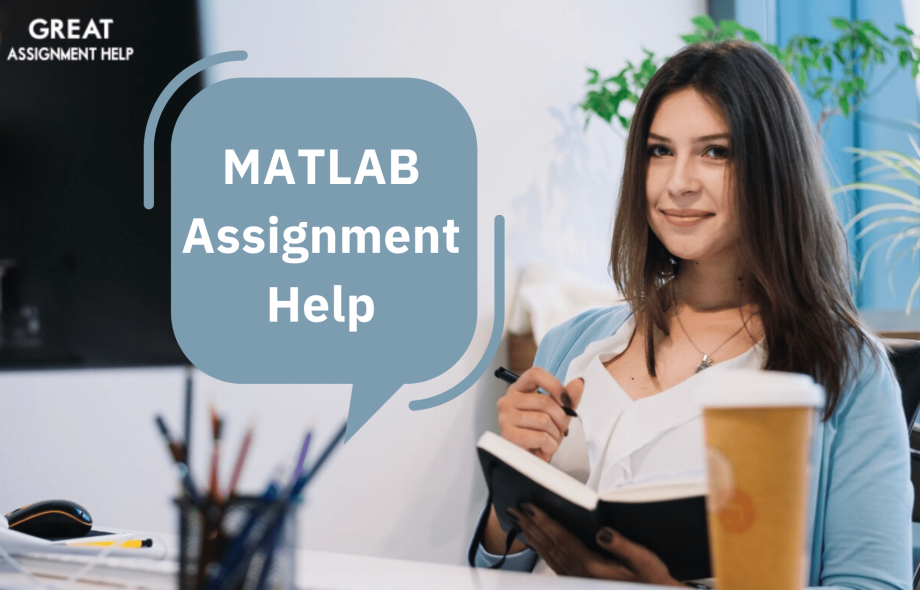 MATLAB Assignment Help