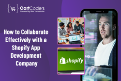 How to Collaborate Effectively with a Shopify App Development Company