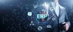 Business in UAE with the ERP System