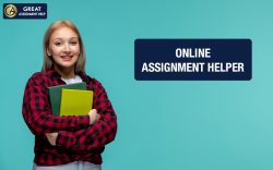 Assignment Help