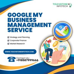 Google My business management service