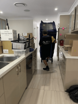 brisbane removalists