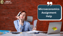 Microeconomics Assignment Help