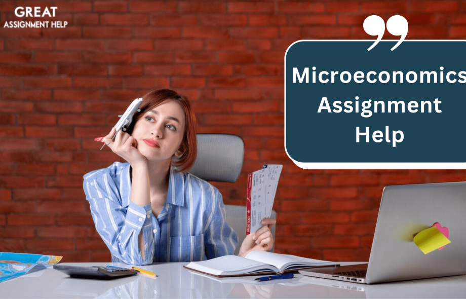 Microeconomics Assignment Help