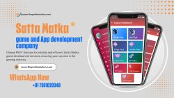 Satta Matka app development company