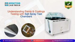 Understanding Paints & Coatings Testing with Salt Spray Test Chambers