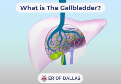 where is gallbladder pain