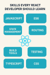 React Developer
