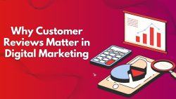 Why Customer Reviews Matter in Digital Marketing