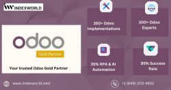 odoo partner