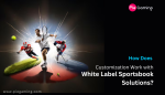 white label sportsbook solutions