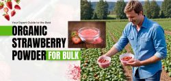 Organic Strawberry Powder bulk supplier, Organic Strawberry Powder bulk manufacture, Organic Strawberry Powder wholesaler