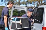 pest control Epping