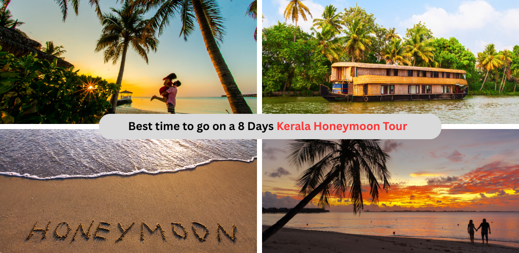 kerala packages for couple