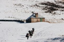 Local agency Ladakh
