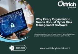 Cyber risk management software