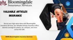 Valuable Articles Insurance