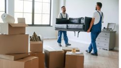 Removal Company in Reading